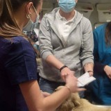 d8369c3a-5d77-4cff-af25-daeb54b36ae6