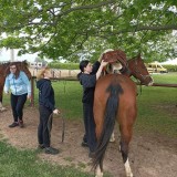 de518b5c-c157-4e49-bc51-20ad585fa864