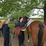 e157d4f8-cd38-40d3-a504-97d53154538e