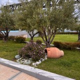 f09c2c6b-0a4f-428e-b15f-f2f9f2ae46d8