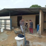 f67f07d1-3a09-438e-abea-1a3e654ff131