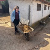 0966b702-1d62-4a22-a397-a202be523853