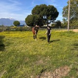 0e521be0-ca7f-429f-9dde-406575bb0107