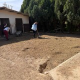 24d67108-b556-4a23-affd-01e00d867492