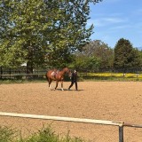 3a49e6a1-17e3-4df1-95d0-3cbe958718c3