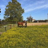 3bc19abb-2248-4ea3-98d1-348861eb1b71