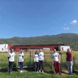 3cfd97cd-e9d8-4266-98d3-6a4548de8105