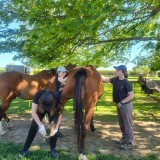 6c78b7d6-48ea-48c9-9323-d8694339ac93