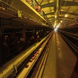 7dfd2054-03db-4119-beae-f72cc4ab0dcb