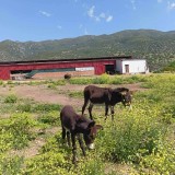 94a5c610-b790-4ee7-8d12-e6c586fa5cca