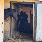 97ed77a5-2441-4b22-9641-a37b345b90a9