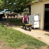 a643b68a-0c2e-4849-91f8-f675630cfe76