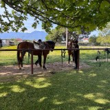 ad673f8c-f30c-44ce-a407-a6dc2a7ce313