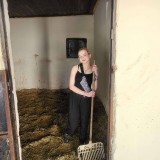 ba2d7ddc-3f10-4f58-99d0-3b0d767ddf94