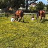 e020cb97-b280-4245-afbf-05a50e7994be