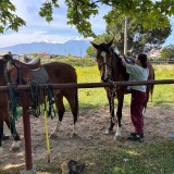 edce102b-720f-46b7-9e20-113b3f144564