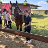 17fb199d-0e9a-4d5d-9c30-30aa6744f9ad