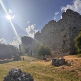 1ed83f81-7679-46ea-b1e8-05d7c8550e89