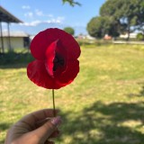 2cc3ef6c-a893-4152-a12b-ed4dbab0a9b0