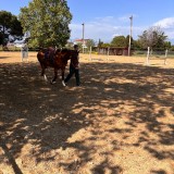 4fd7b755-476a-4e48-9be2-5cd296549f15