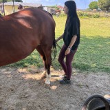 5b5c78eb-c8f5-4531-91ba-be7738ac51fb