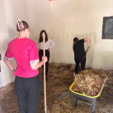 5faf4dc2-9271-4148-ab57-62d9b514590c