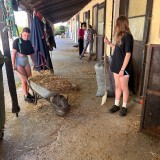 96f7bc64-3826-466b-ae24-558332f81821