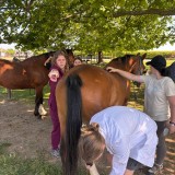 a38790e1-fc3e-4ac9-a428-62fa906c9ba2