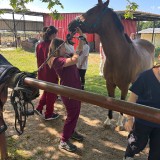 aa2ca608-113a-4ae3-84ad-7304486b2e4e