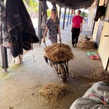 af2b4930-99e2-4b51-aa78-0187f864b53c