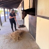 b8cfc756-de93-4822-b234-b788239c901c