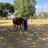 d311d089-ca9e-47c1-b144-9601ec44b1da