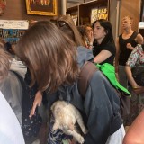 d4e49231-bd7e-4ce9-acf4-cb4d6f6e6ccc