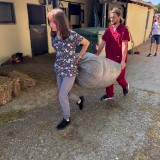 f058f2a4-f75d-489a-8cfd-570e2af2c3a3