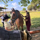 f75d372e-b16e-4e4a-9e96-8b3323c3c931