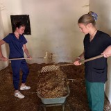 fef8cae3-f4d3-4de8-819a-e43f92d185b6-1