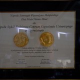 512693503_1262963872353277_6879387915340304263_n-Copy