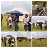 BFDA2EA1-8287-425B-BFD9-53DB9F21F563-COLLAGE