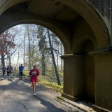 c136c11b-577a-4669-b356-866ae42aabaa